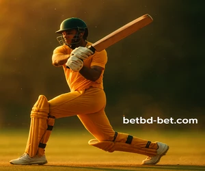 betbd ক্রিকেট বেটিং_৫